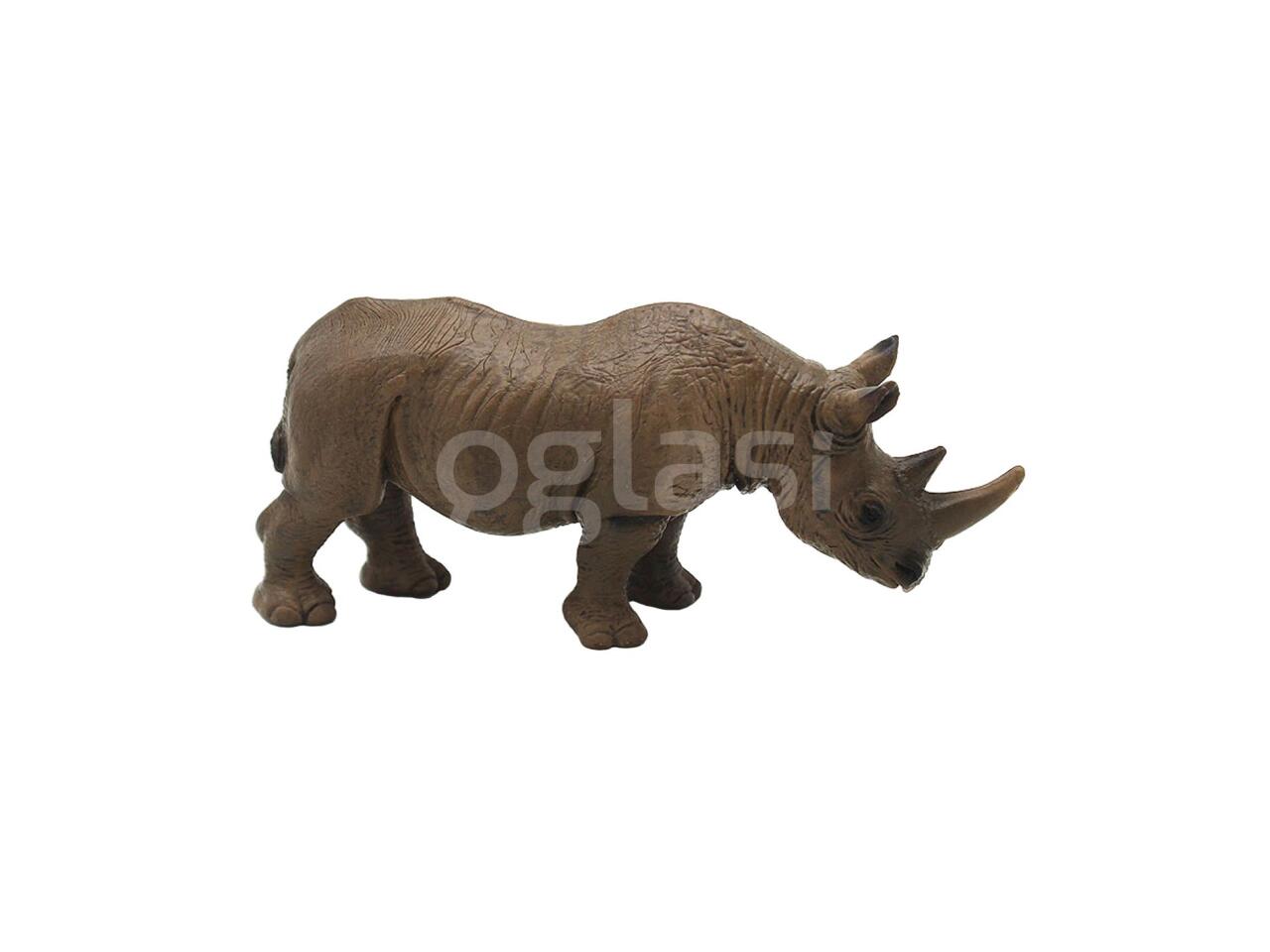 98bbd6494dbd.jpg