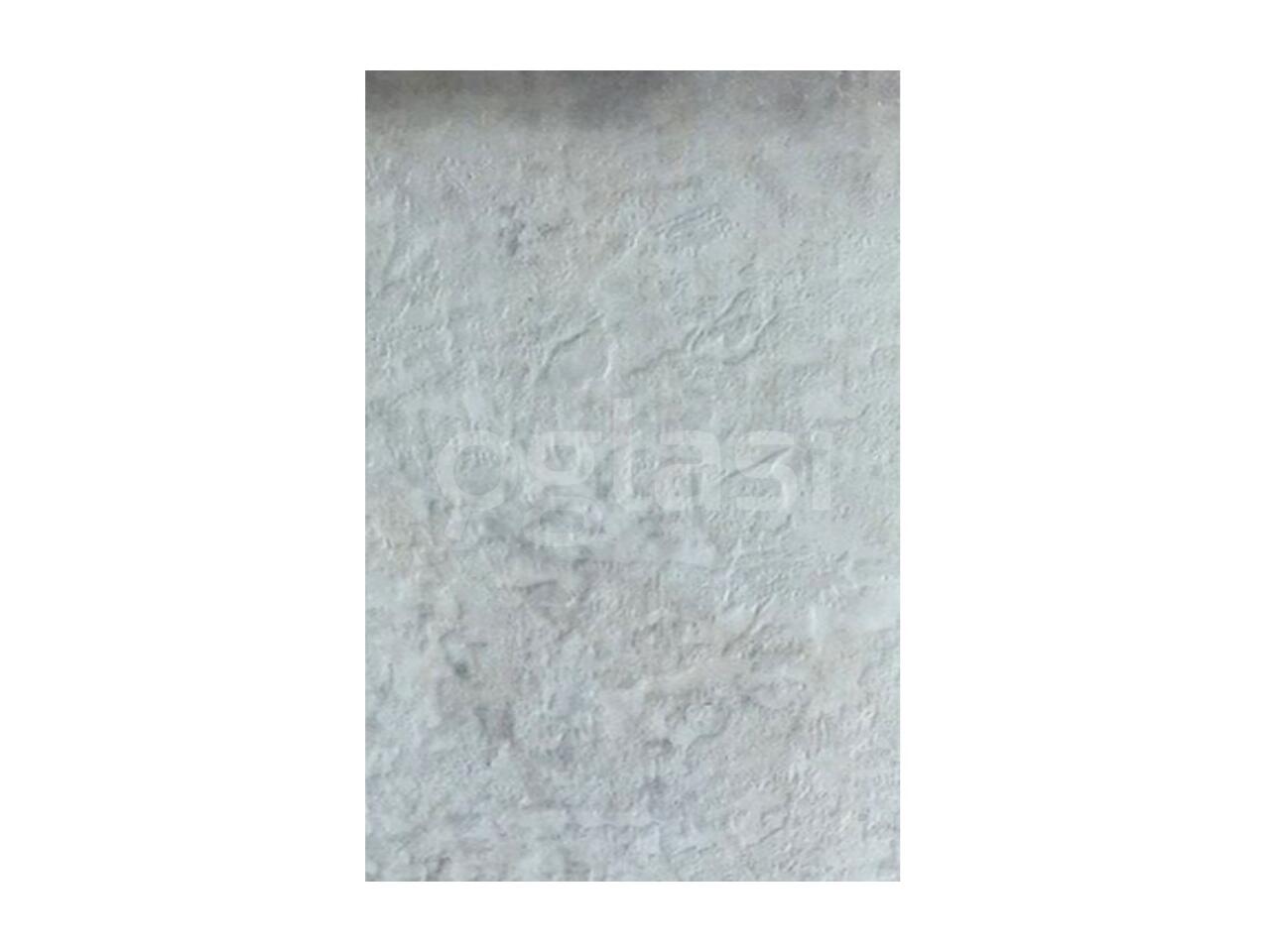 b4e2248d8ef7.jpg
