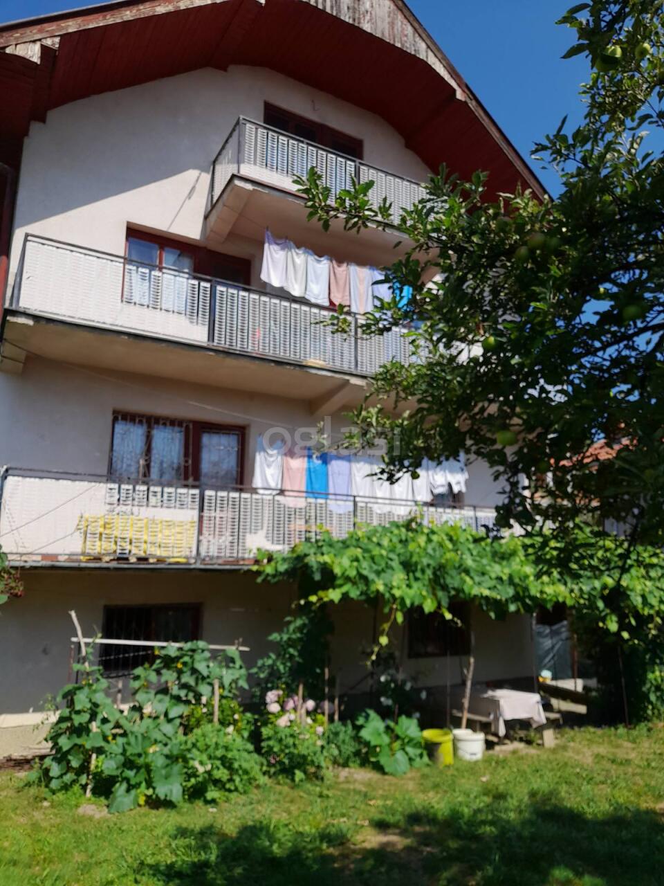 bd23747d4517.jpg