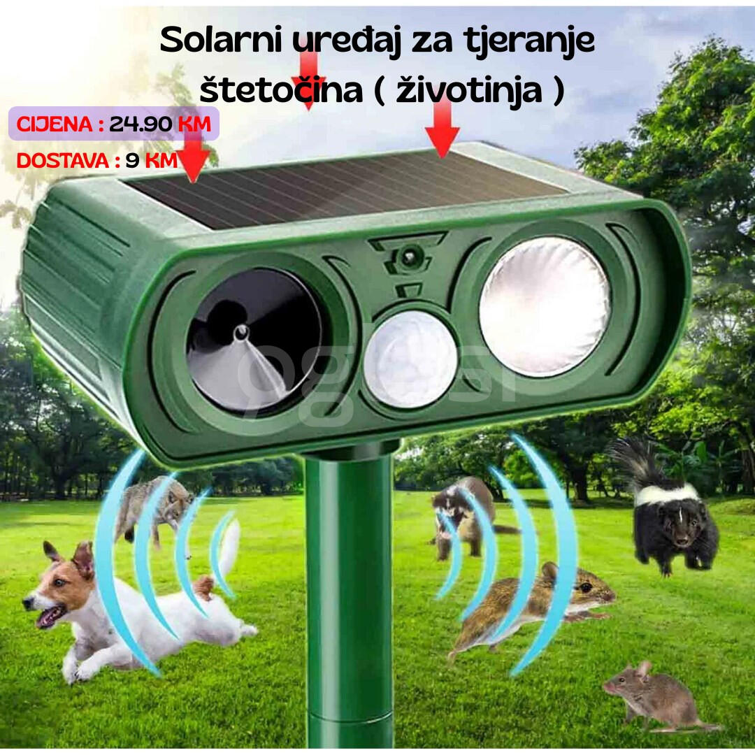 70dd355923e4.jpg