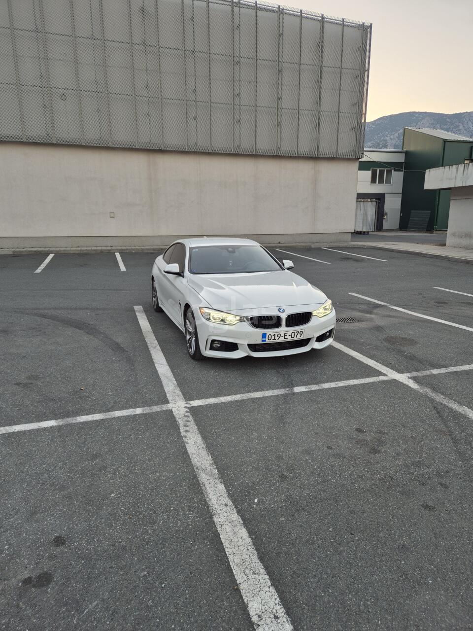 32e25556f37f.jpg