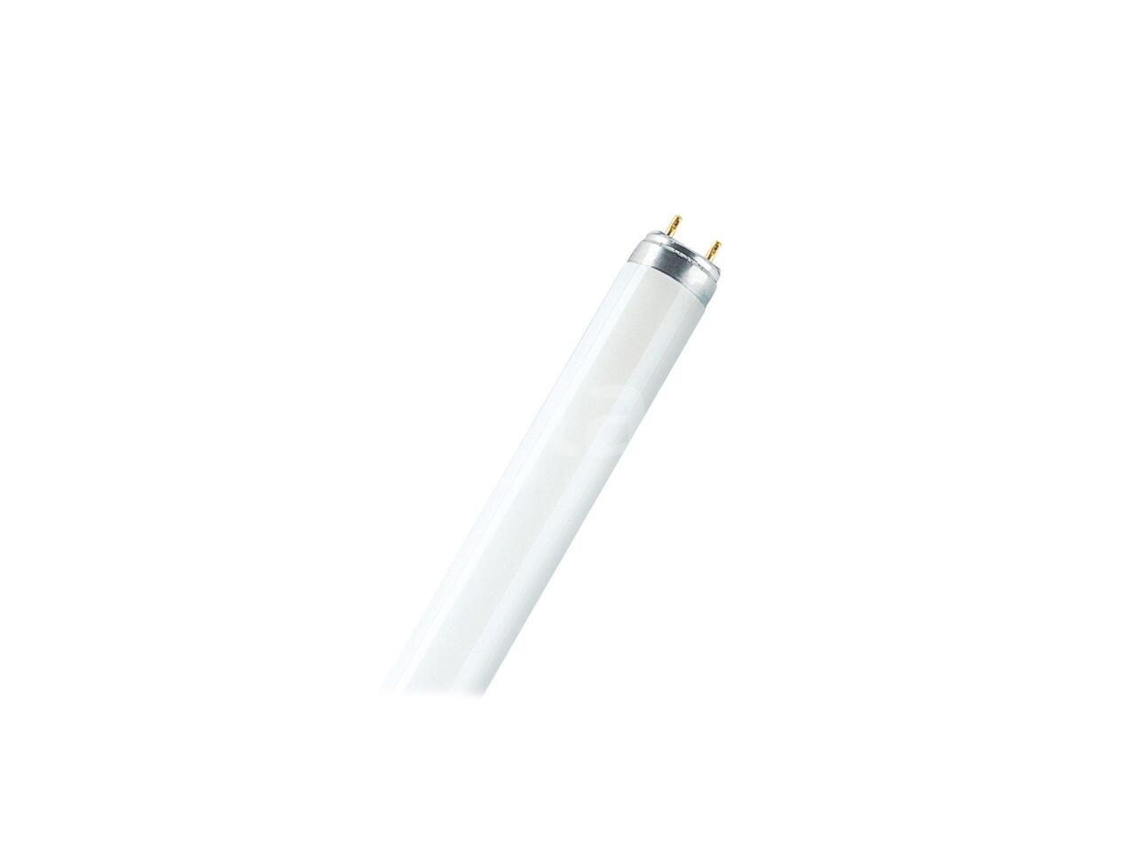 8720d141fd3d.jpg