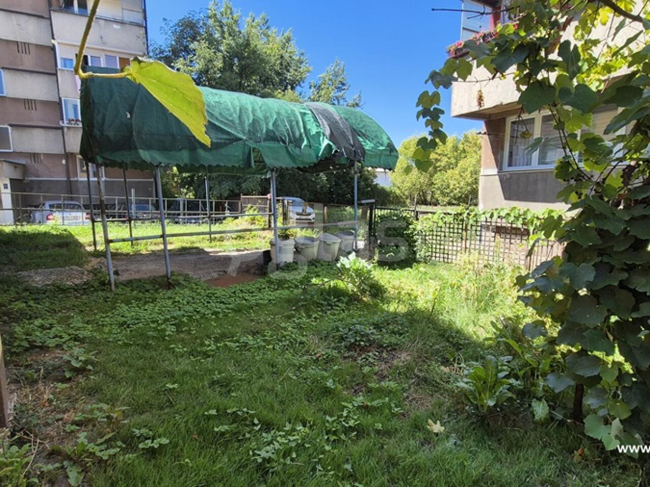 d811ff6d05ca.jpg