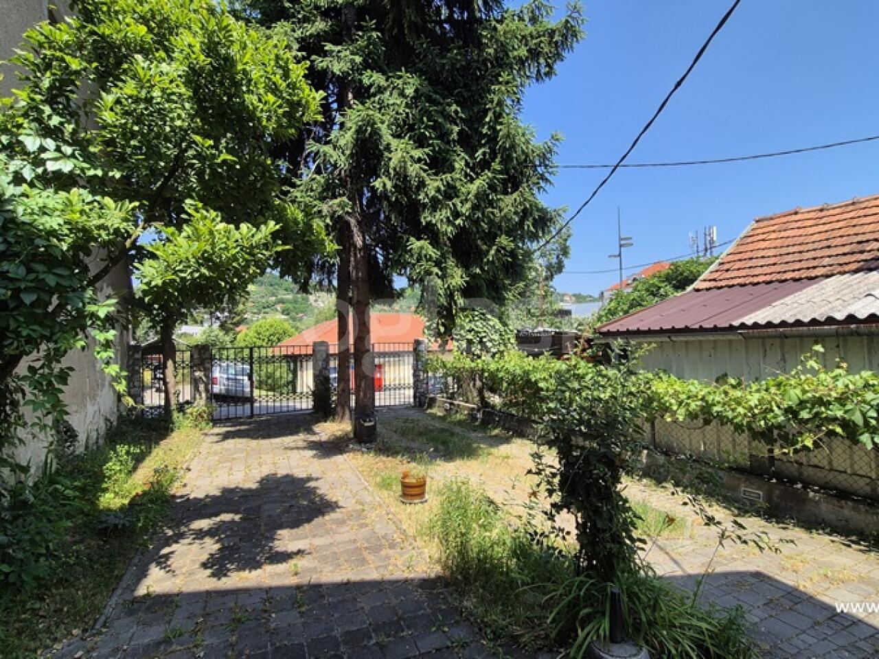 13197bd624b0.jpg