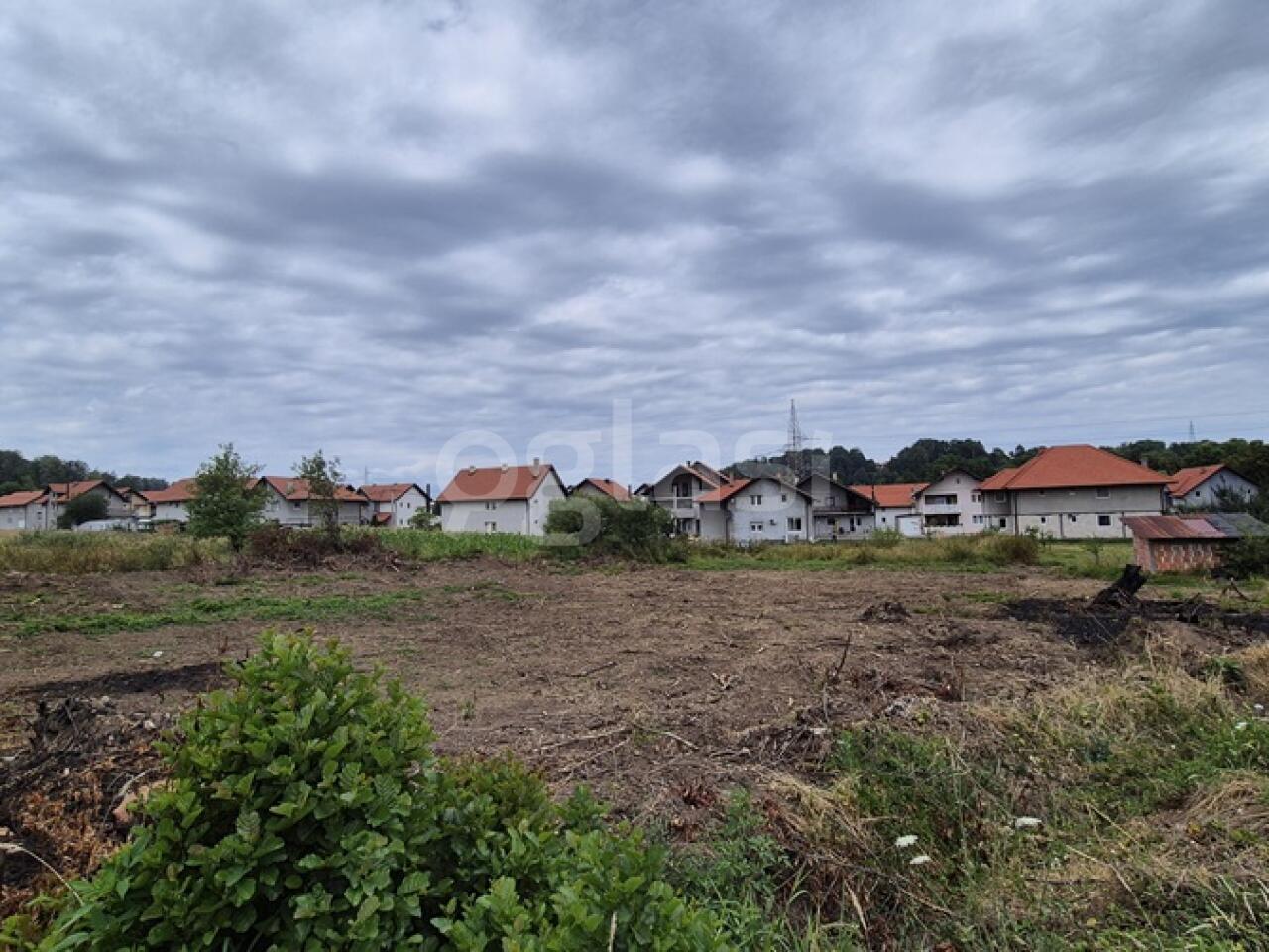 441637f84373.jpg