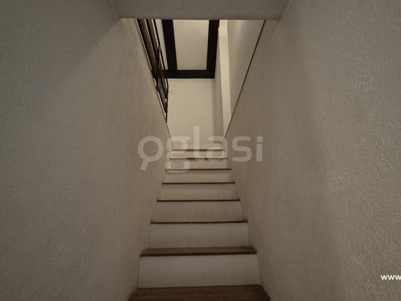 b506669ddbe1.jpg