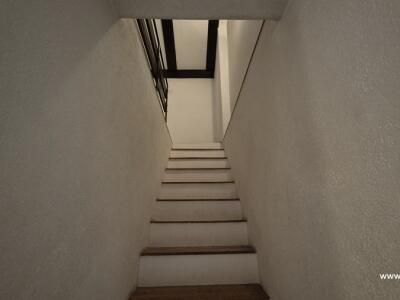 b506669ddbe1.jpg