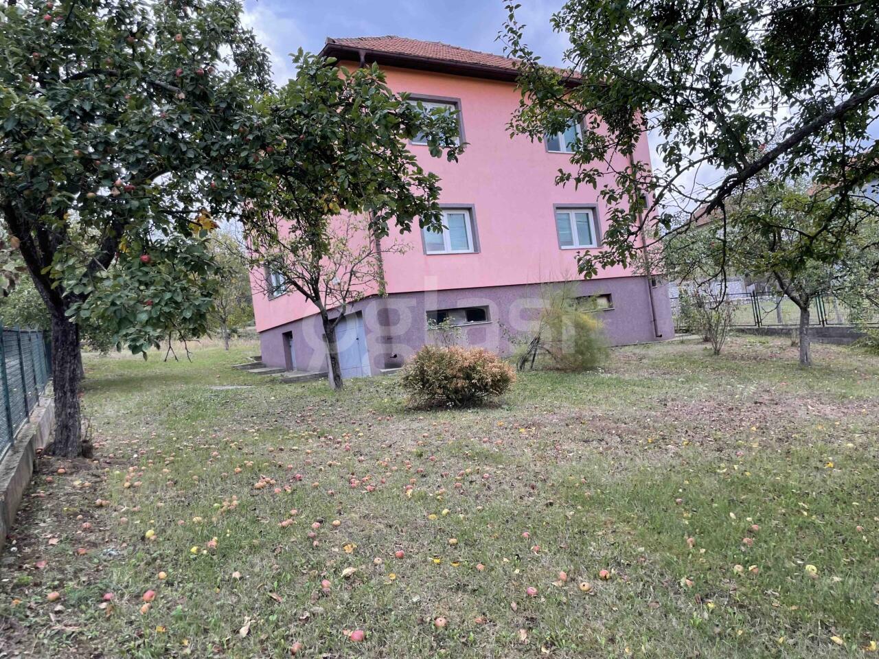 e30109e44391.jpg