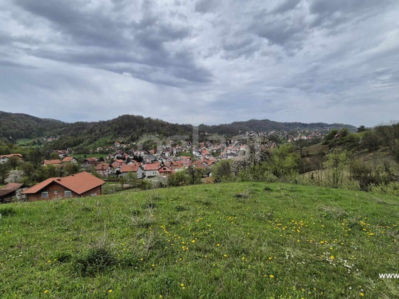 1e1b45f66596.jpg
