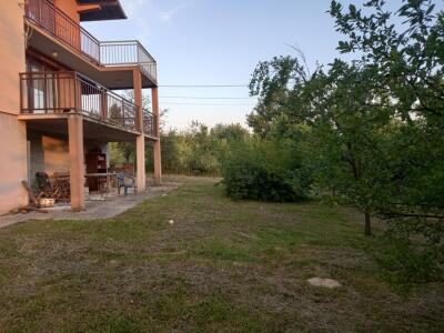 31ff0d049386.jpg