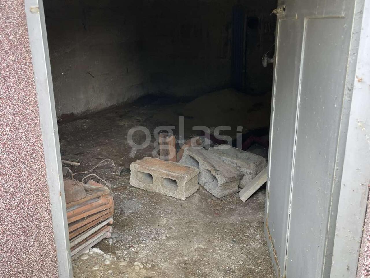 dda065bdeb9c.jpg