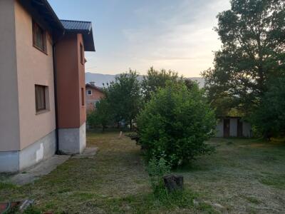 614e317219d8.jpg