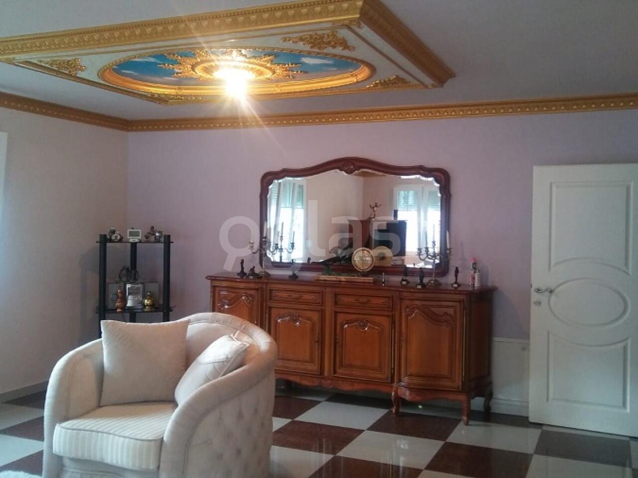 c3e381857977.jpg