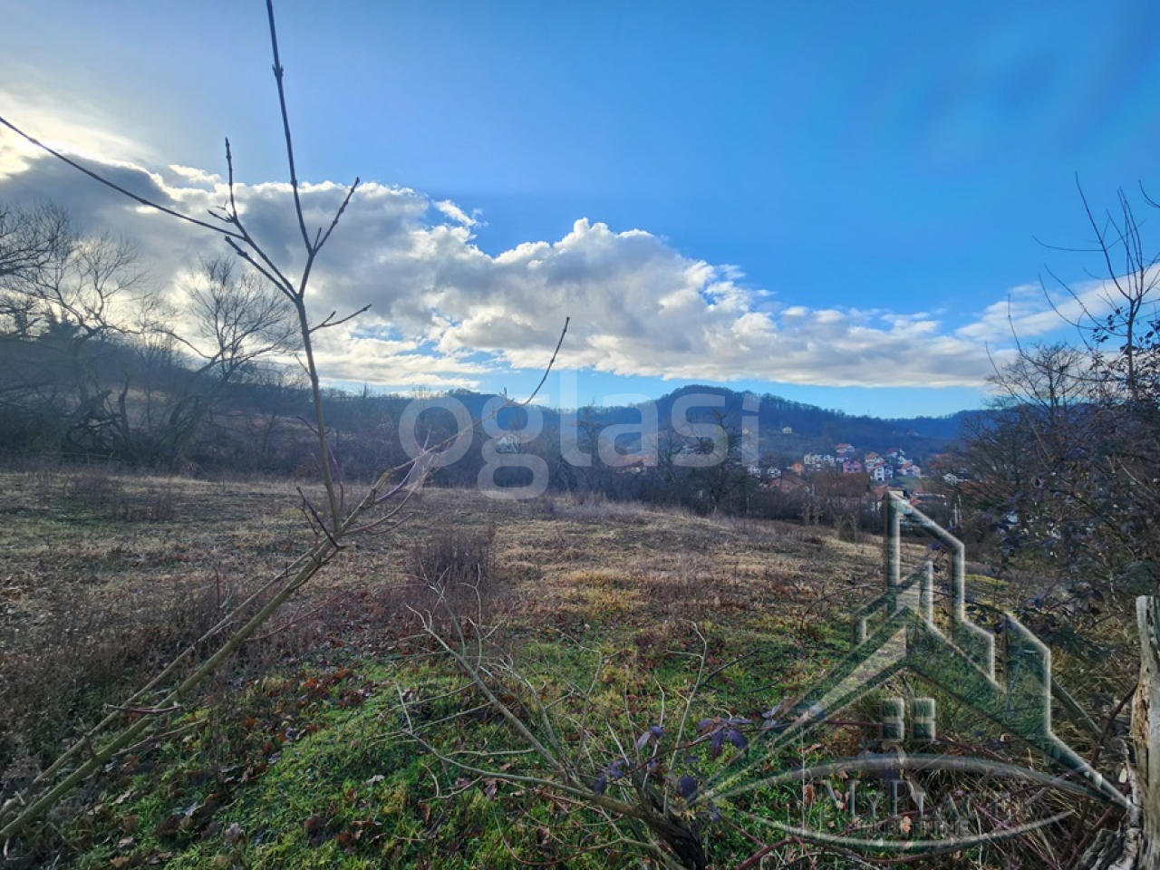 d09850717cc0.png
