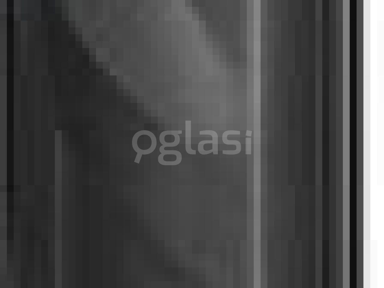 83e5552395d9.jpg