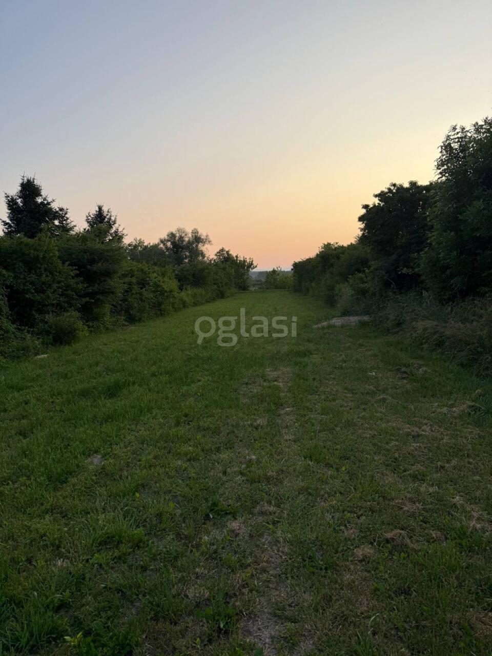 c9ca64951ade.jpg