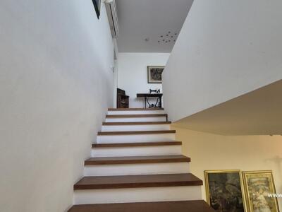 d474d9a4d621.jpg