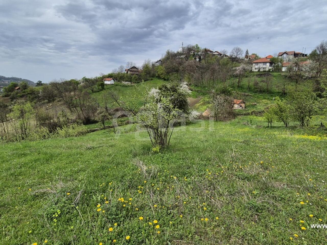 8c89502e3c76.jpg