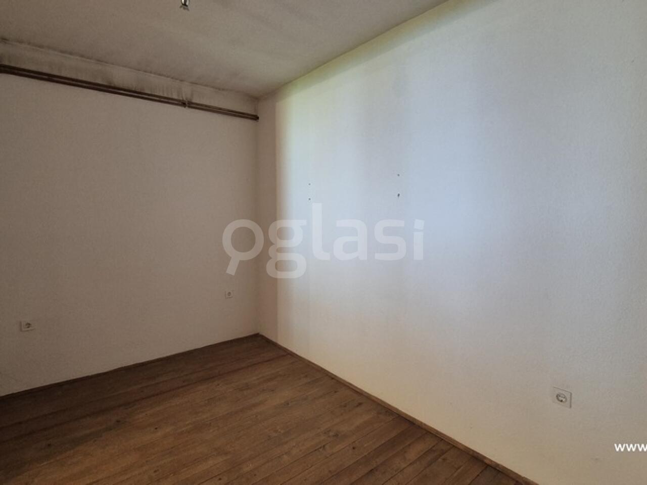 bc59c1e81362.jpg