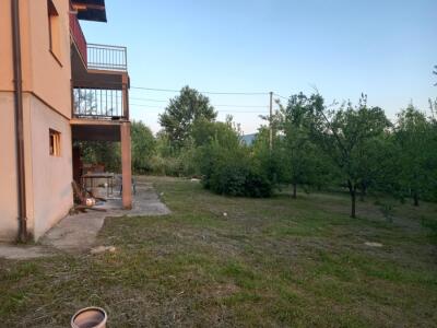 e0690cb10f52.jpg
