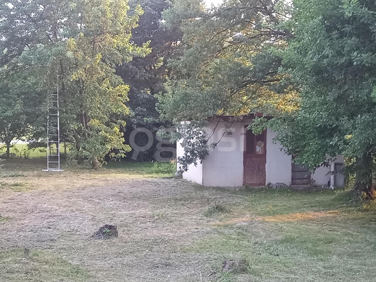 0e20323f4711.jpg