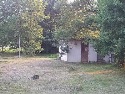 0e20323f4711.jpg