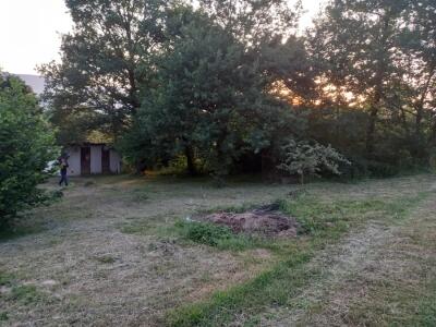 47f07ae209df.jpg