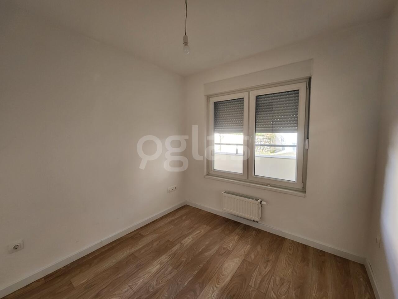 d456cb60888e.jpg