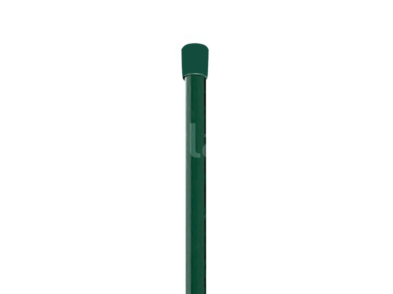 4e46c4849140.jpg