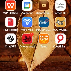 nerminad.9@gmail.com